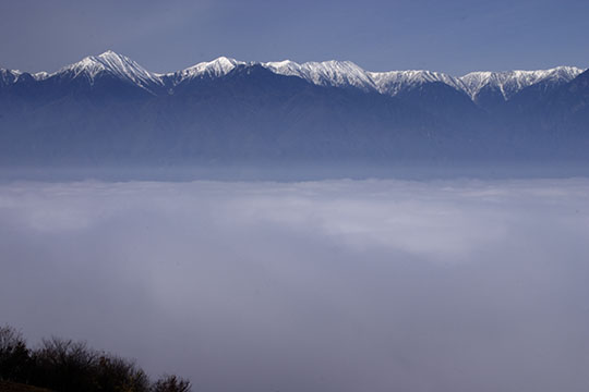 長峰山から望む朝霧に浮かぶアルプス